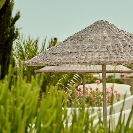 Appartement La Posidonia à Rodalquilar Extérieur photo